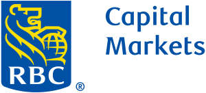 corporate brand logo showing name in royal blue with icon crest to left