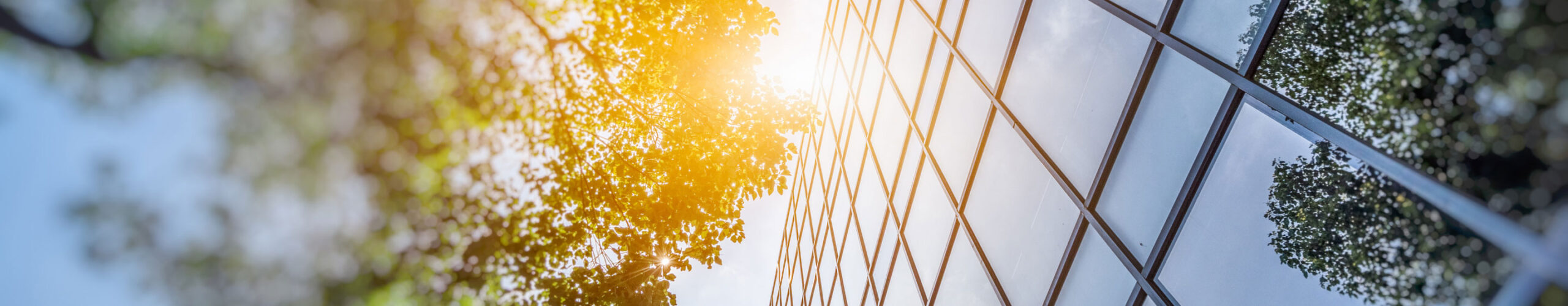 Abstract angle of office building with greenery and sun shining against glass