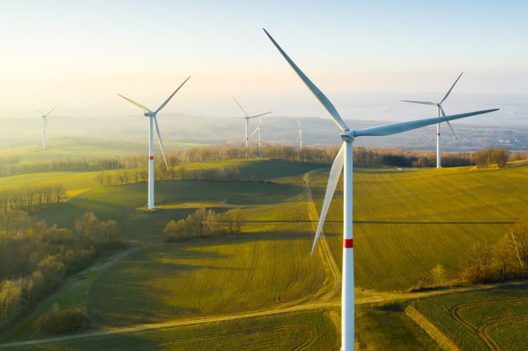 Field of wind turbines