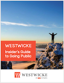 Insider's Guide to Going Public