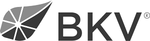 BKV logo