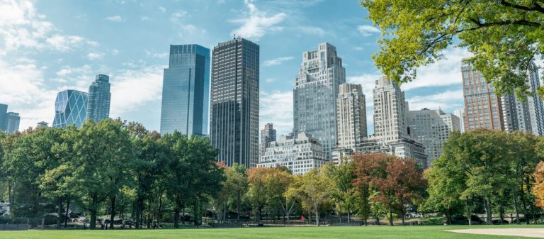 Landscape photo of New York City with Central Park in the foreground