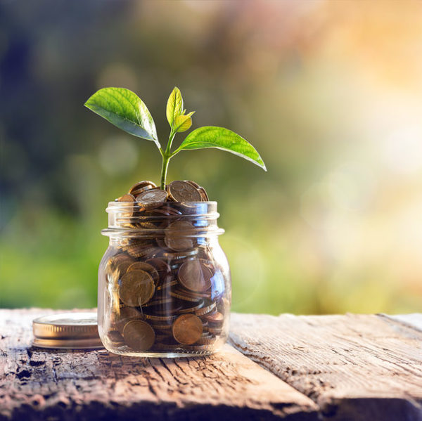 Plant Growing In Savings Coins