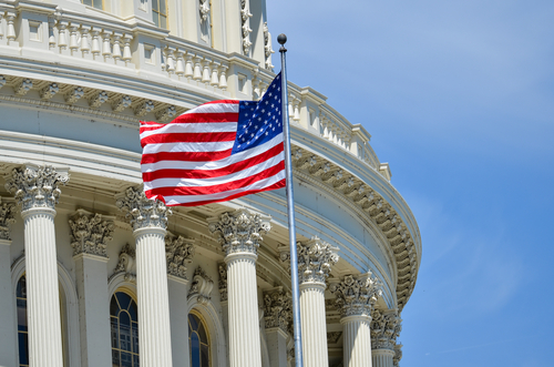 US flag in front of US Capitol Building